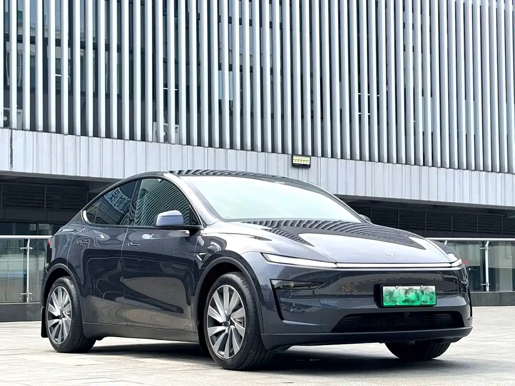 Tesla Model Y — миниатюра 3