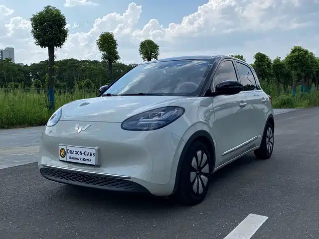 2023 Wuling Motors Binguo