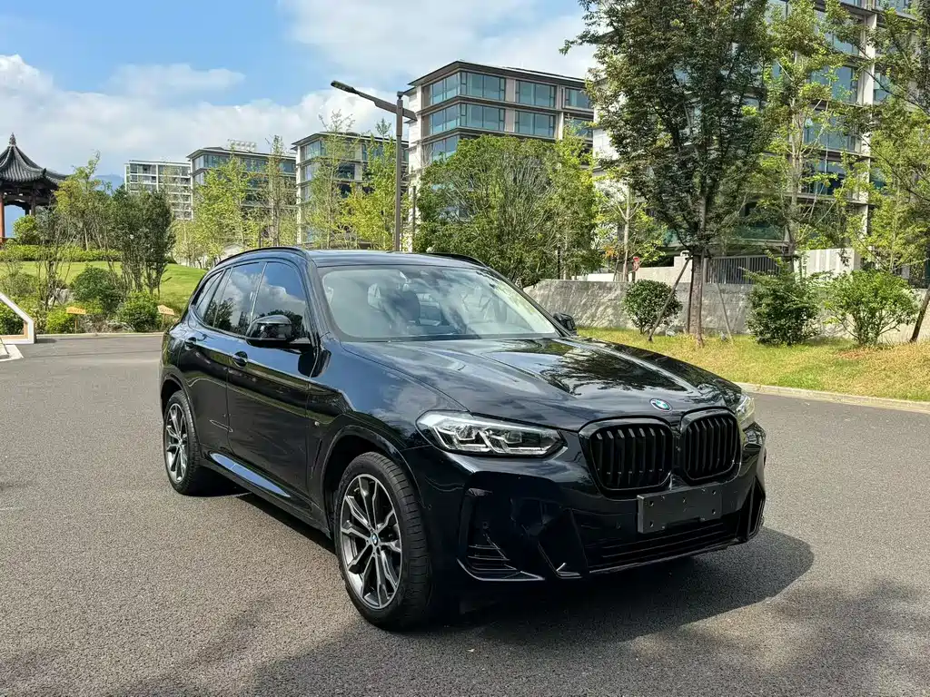 BMW X3 — миниатюра 3