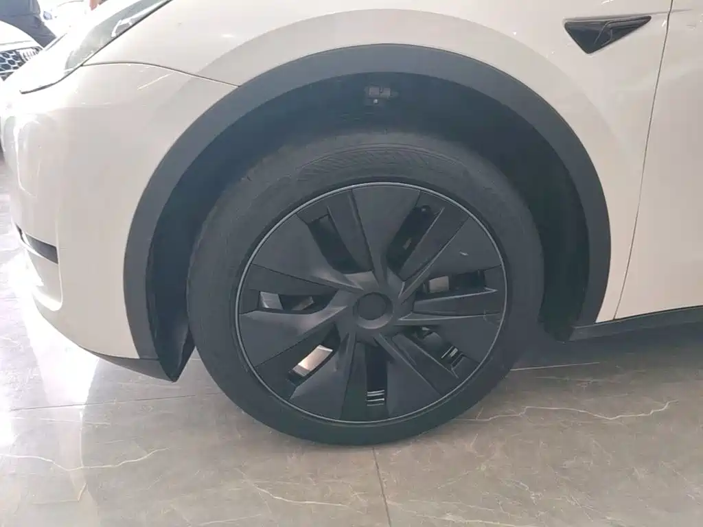 Tesla Model Y — миниатюра 23