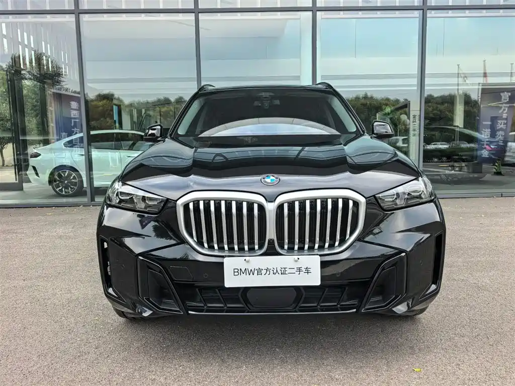 BMW X5 — миниатюра 2