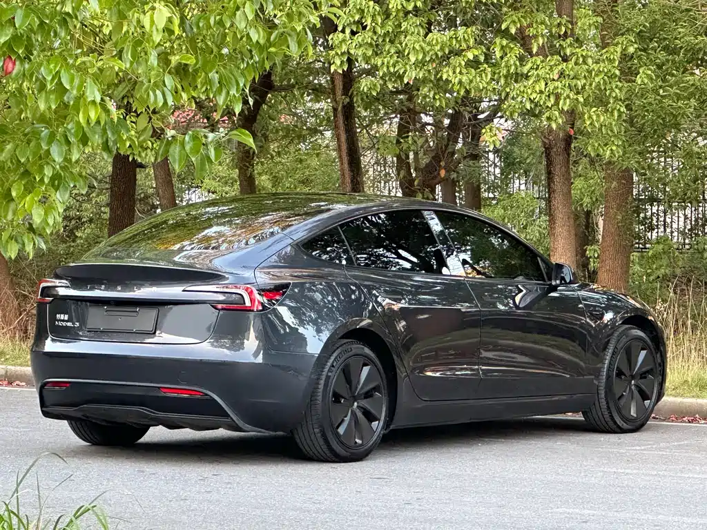 Tesla Model 3 — миниатюра 4