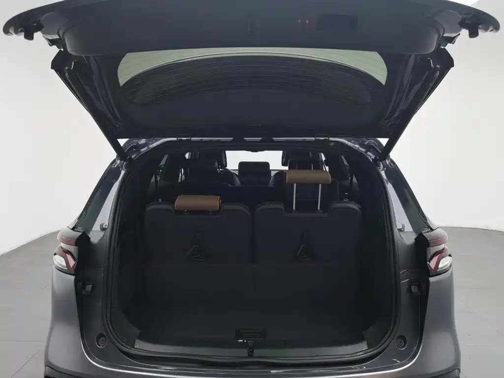 BYD Tang New Energy — миниатюра 16