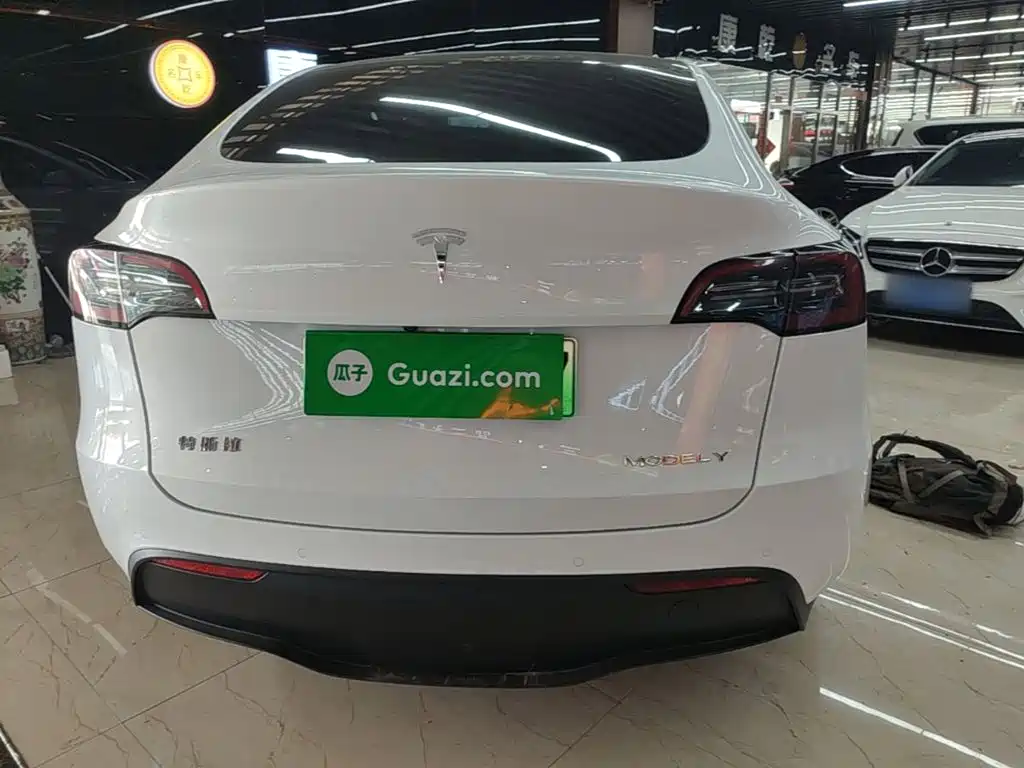 Tesla Model Y — миниатюра 6