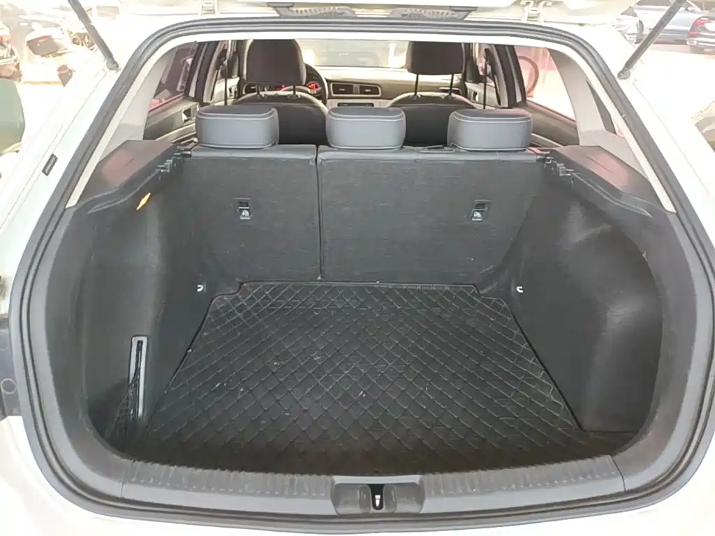 Volkswagen Gran Lavida — миниатюра 19