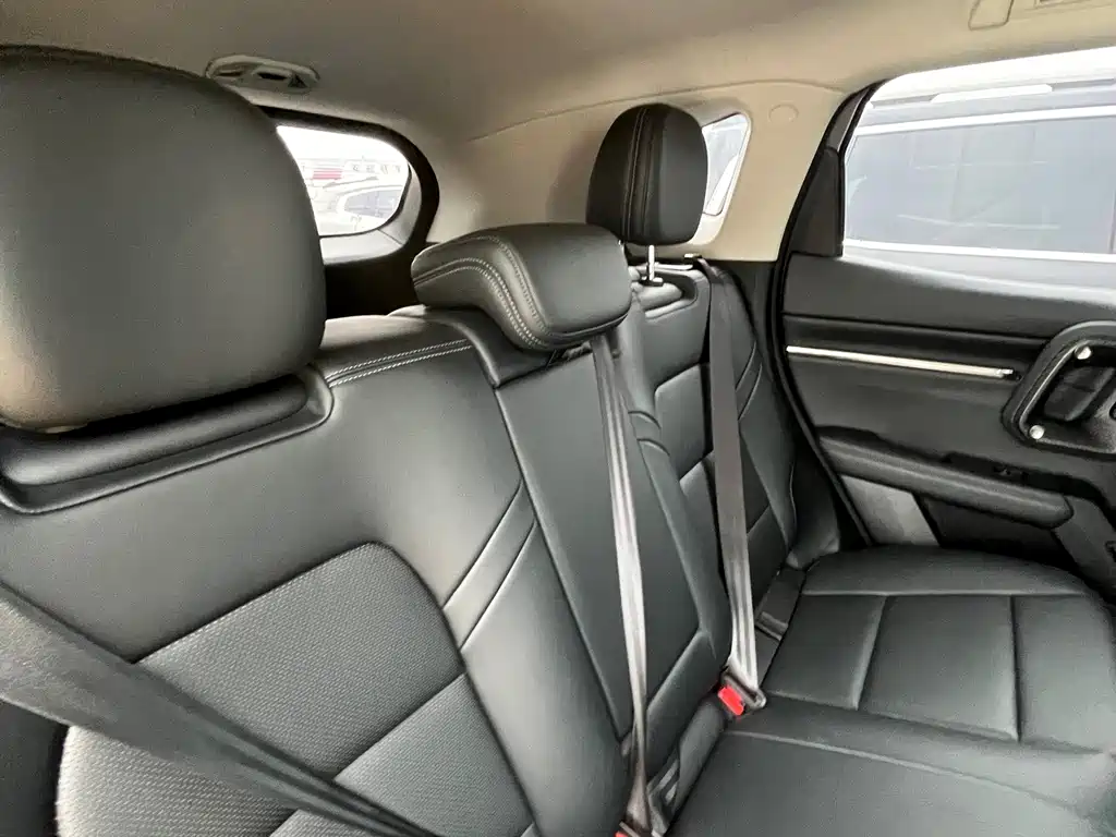 Haval Big Dog PLUS — миниатюра 6