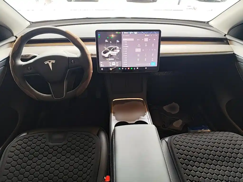 Tesla Model Y — миниатюра 10