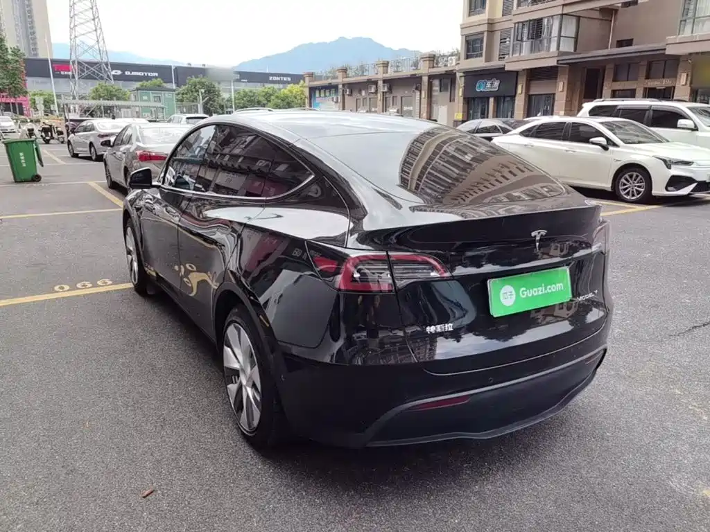 Tesla Model Y — миниатюра 5