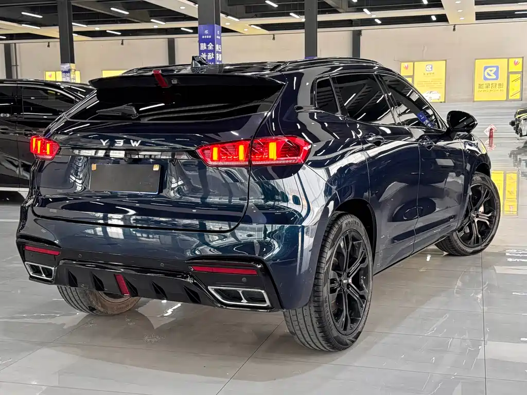 WEI PAI WEI BRAND VV7