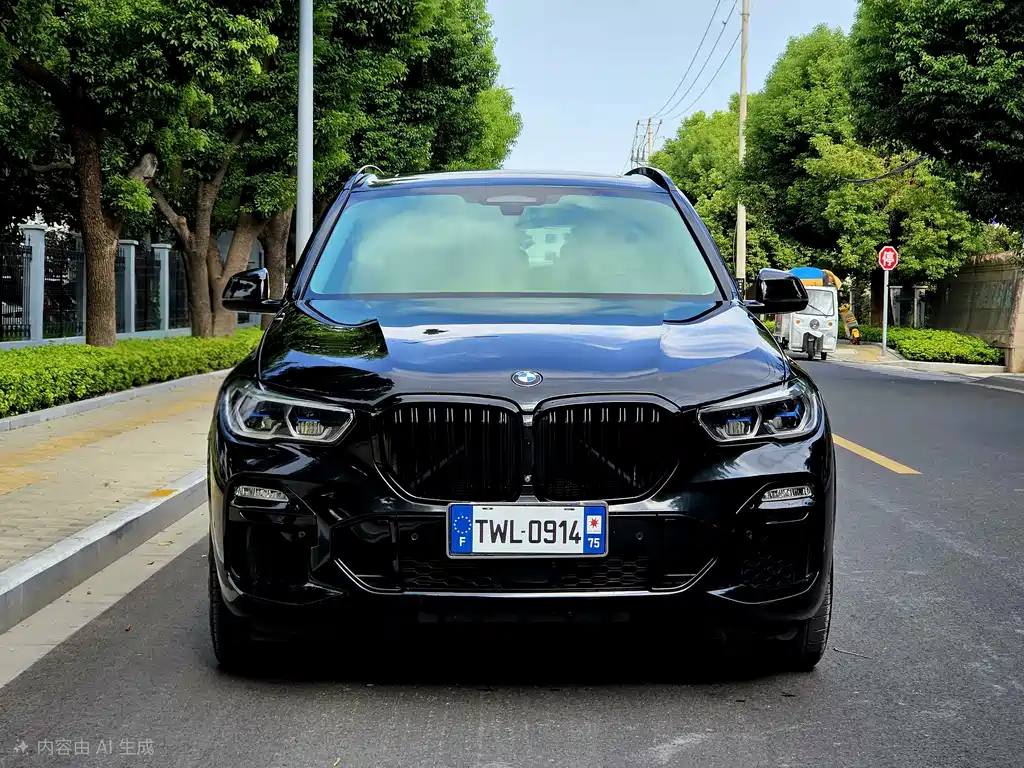 BMW X5 (Import) — миниатюра 2