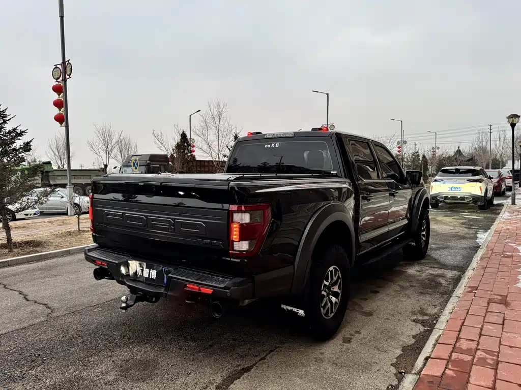 FORD F 150 RAPTOR