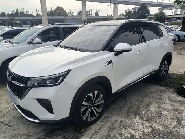 WULING AUTOMOBILE WULING XINGCHEN 2021