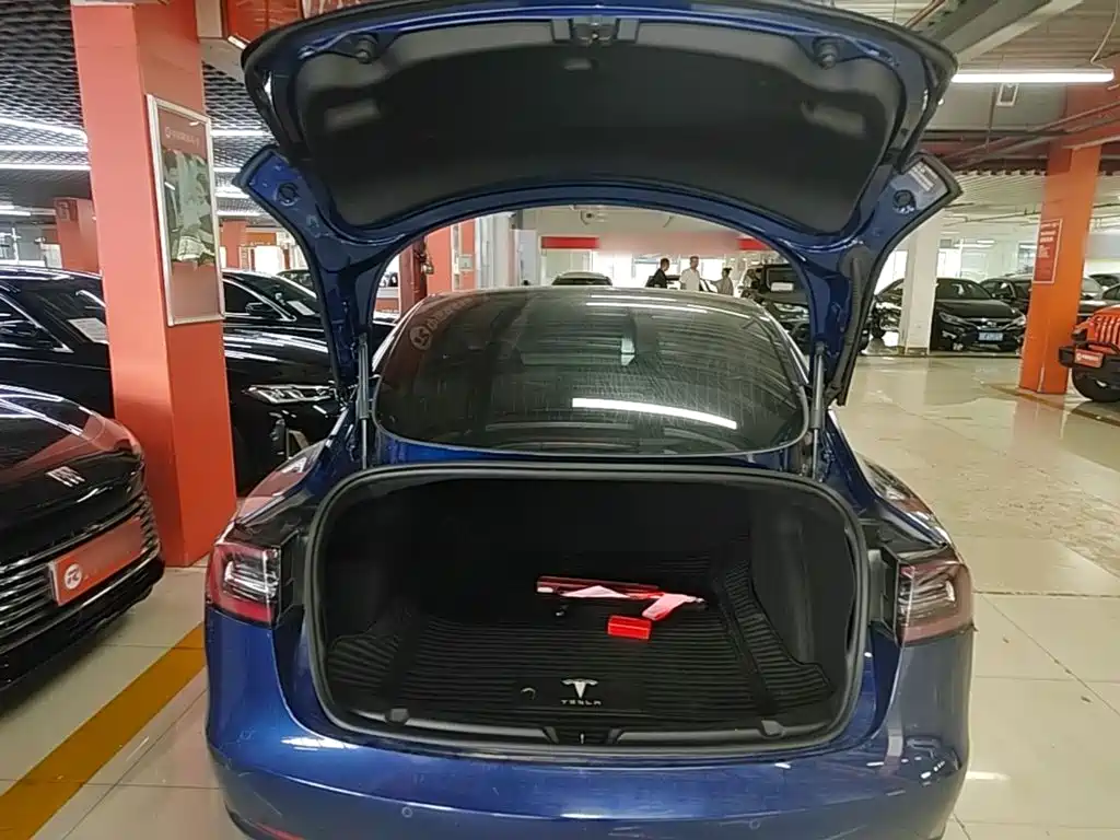 Tesla Model 3 — миниатюра 19