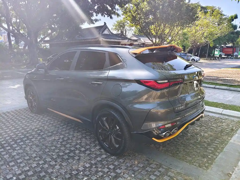 Oshan Oushang X5 — миниатюра 6