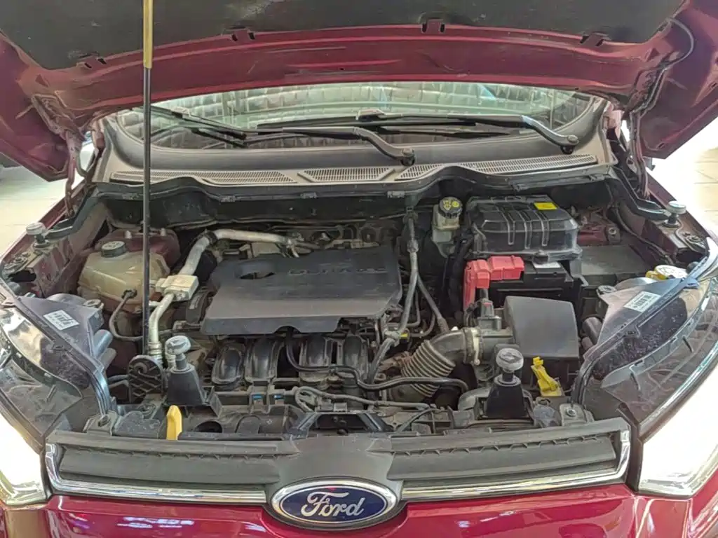 Ford Ecosport — миниатюра 20