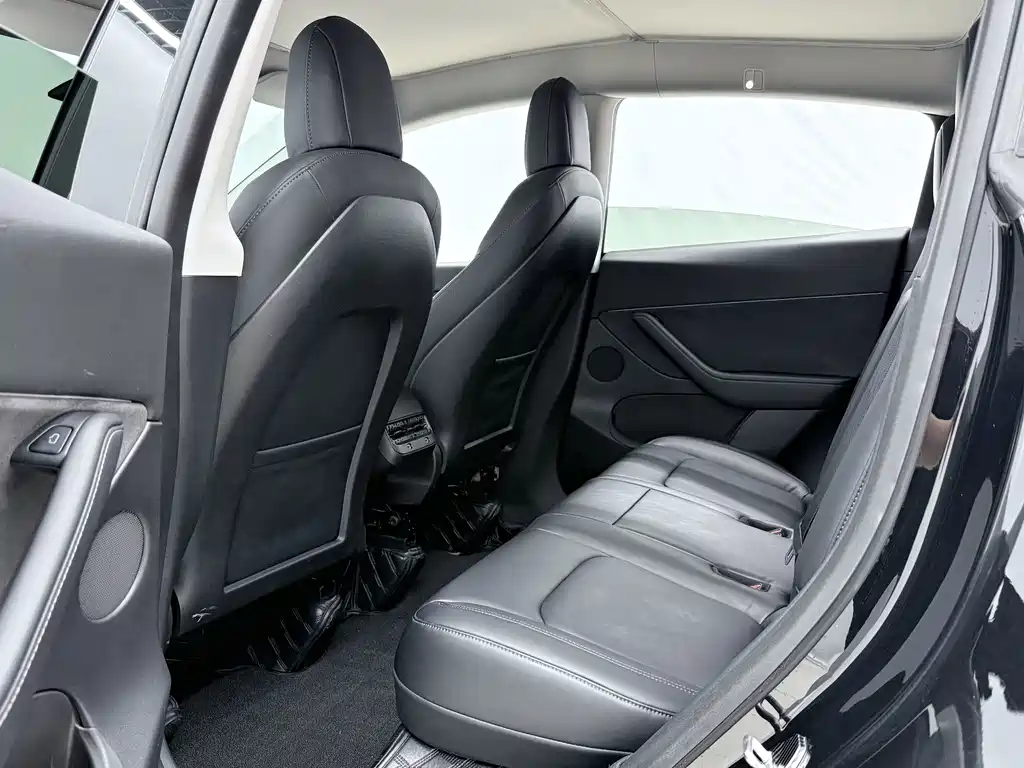 Tesla Model Y — миниатюра 10