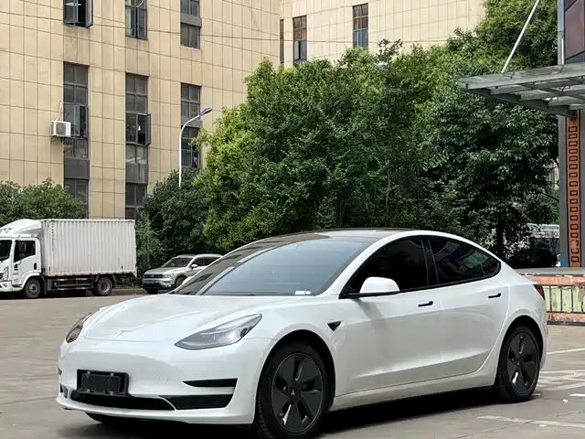 TESLA MODEL 3 2021