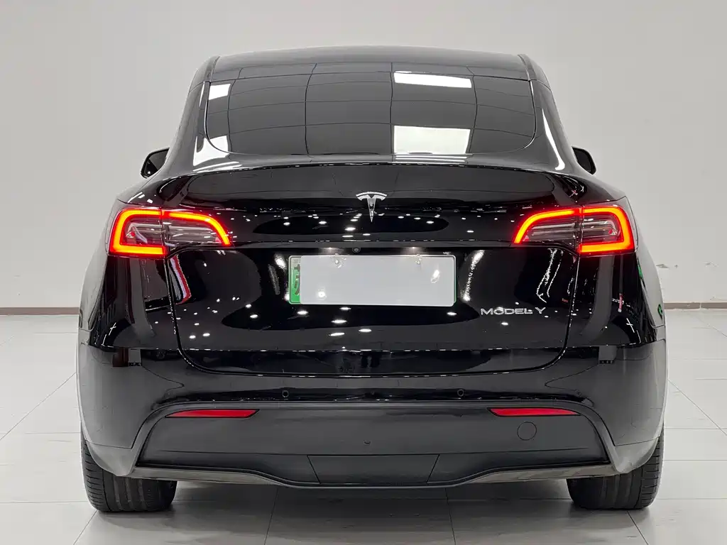 Tesla Model Y — миниатюра 4