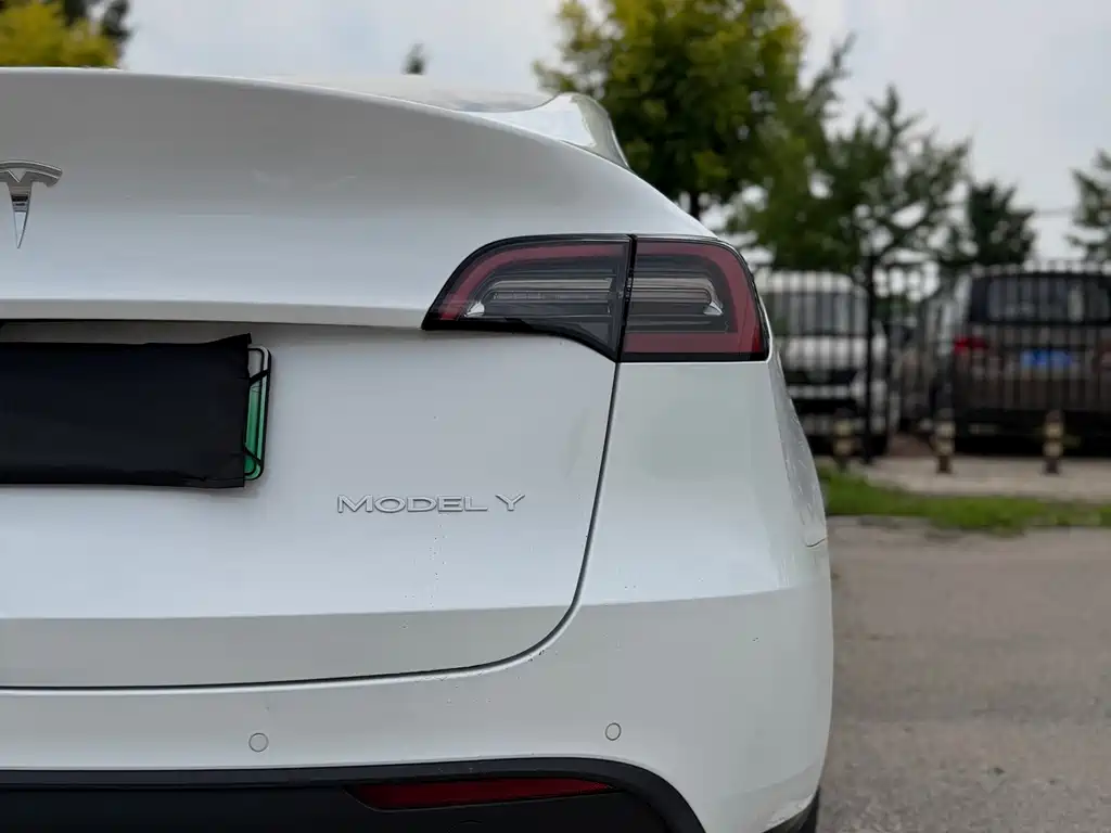Tesla Model Y — миниатюра 9