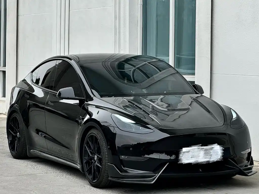 Tesla Model Y — миниатюра 3