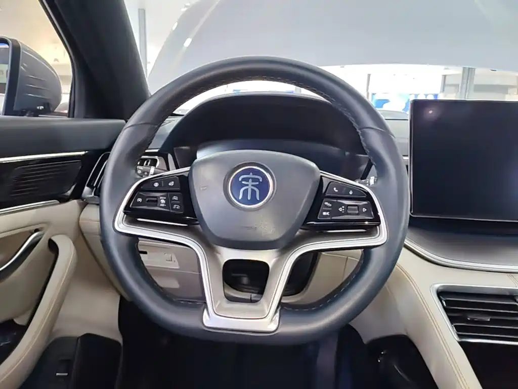 BYD PLUS New Energy — миниатюра 11