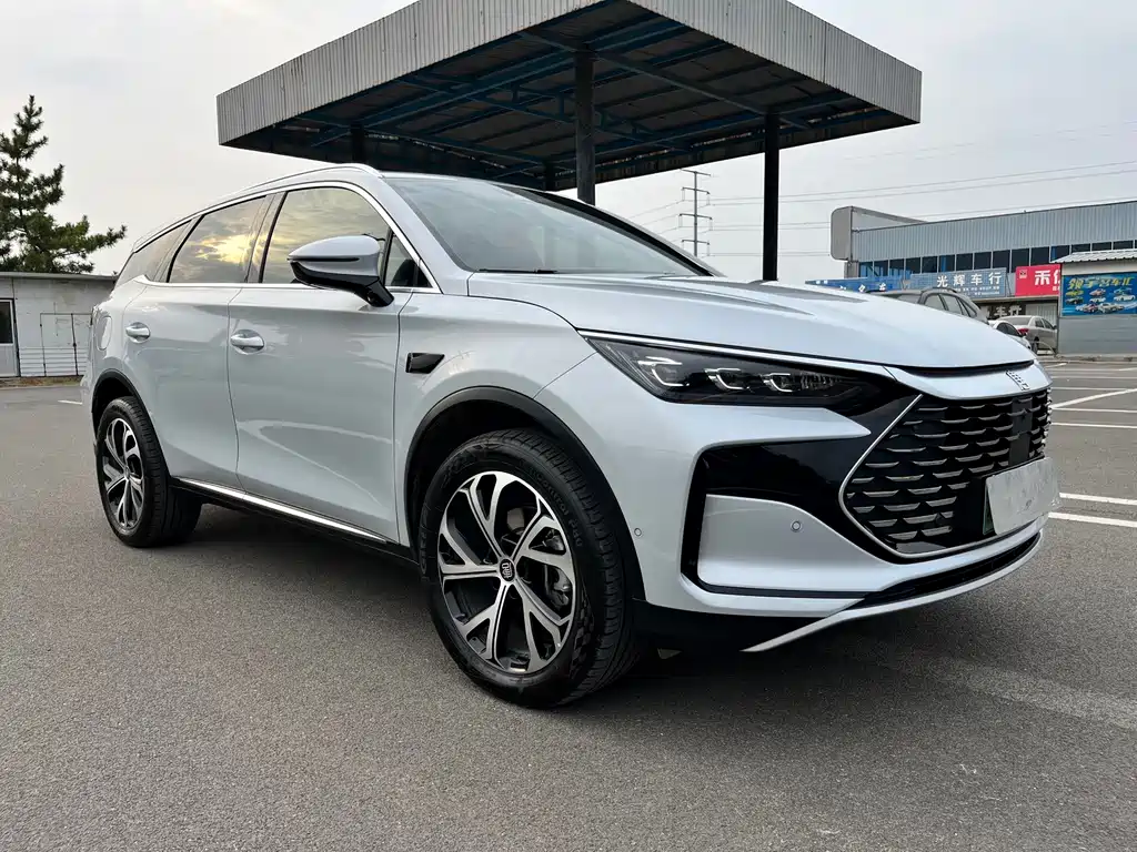 BYD Tang New Energy — миниатюра 3