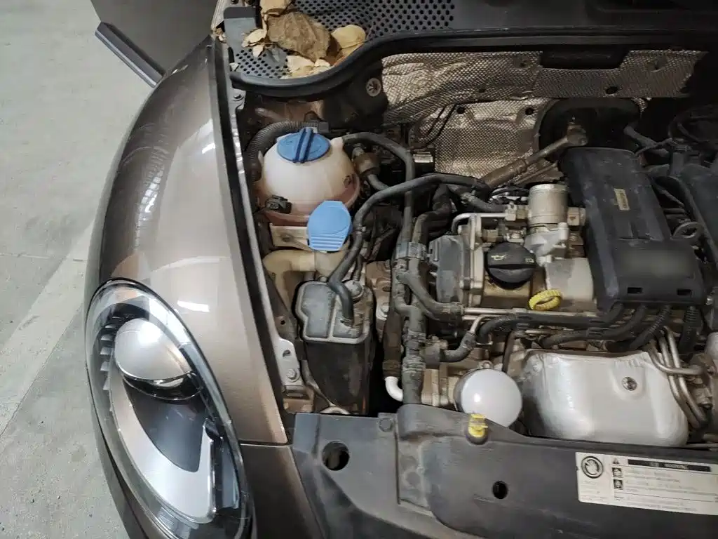 Volkswagen Beetle — миниатюра 20