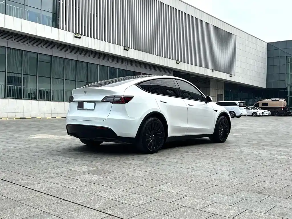 Tesla Model Y — миниатюра 4