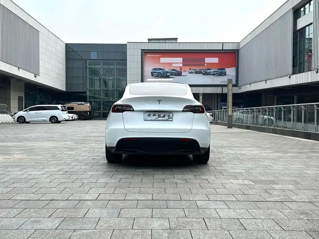 Tesla Model Y — миниатюра 5