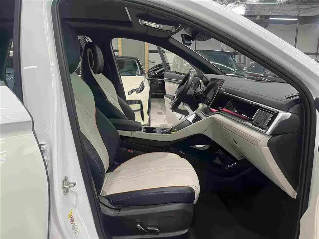 BYD PLUS New Energy — миниатюра 6