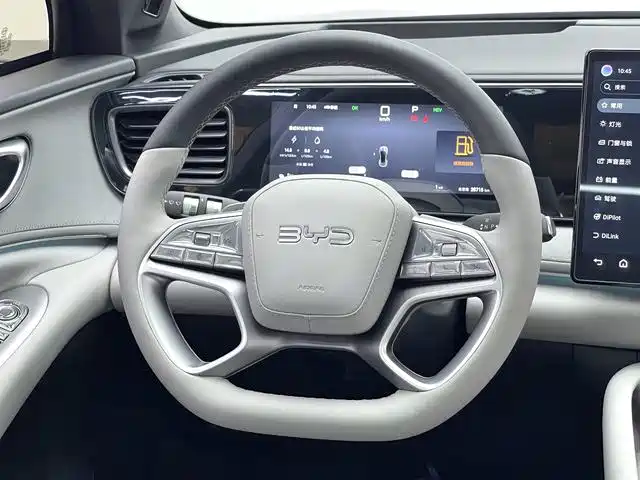 BYD Haisi 06 — миниатюра 11