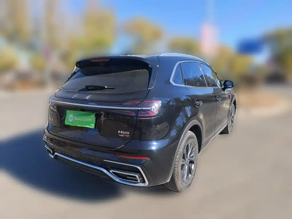 Hongqi Hongqi HS5 — миниатюра 4