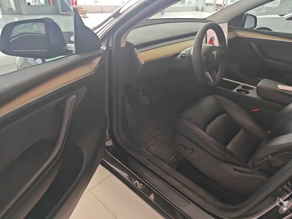 Tesla Model Y — миниатюра 16