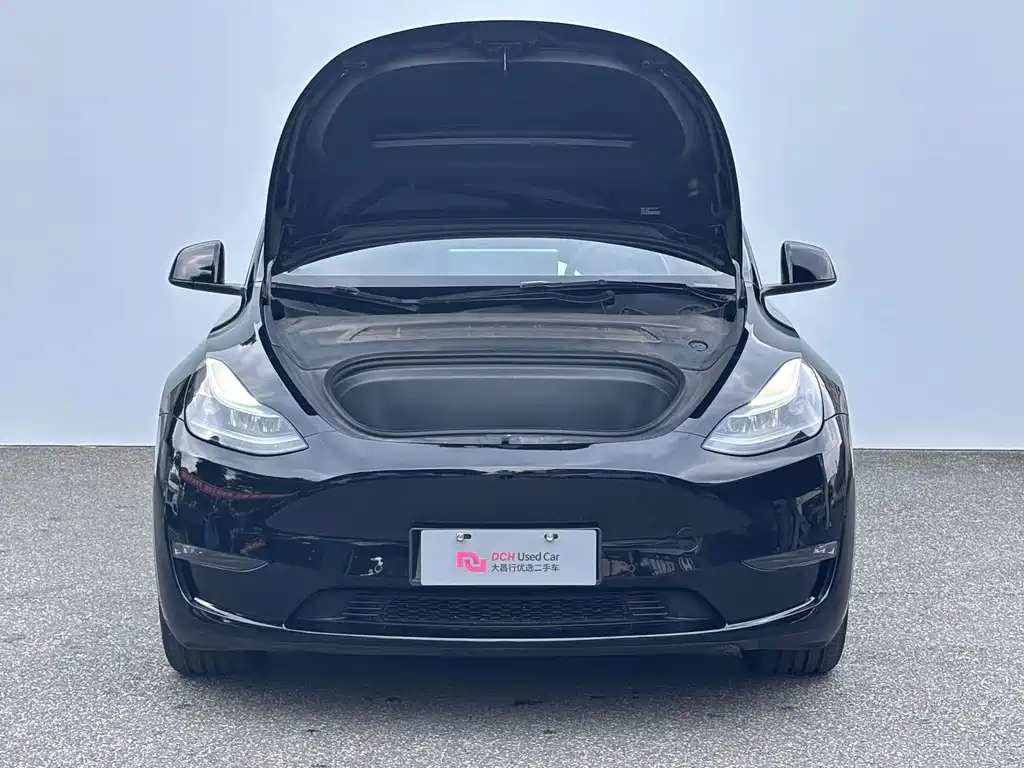 Tesla Model Y — миниатюра 7