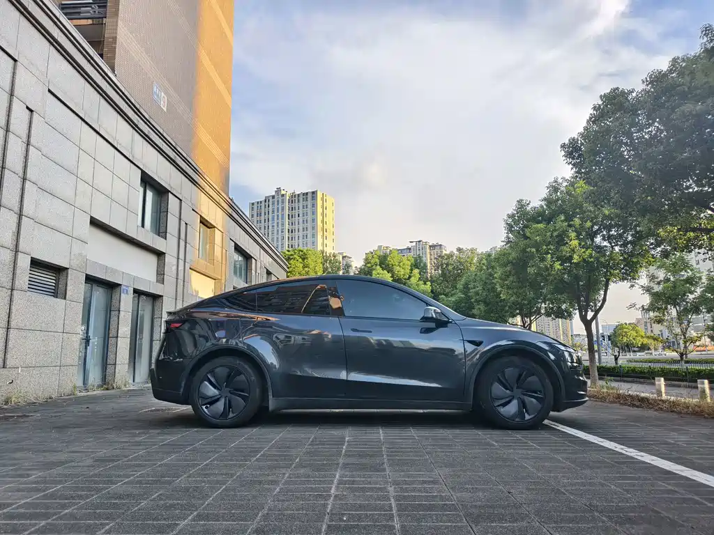 Tesla Model Y — миниатюра 5