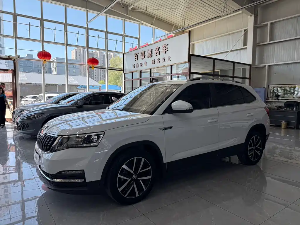 Купить Skoda Kamiq