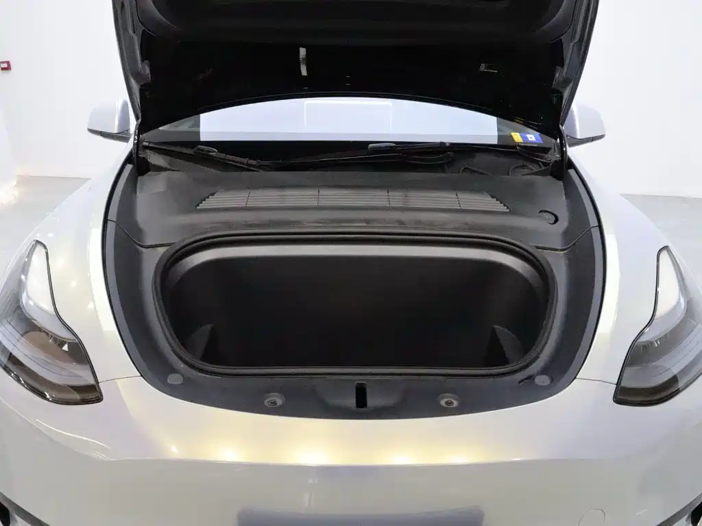 Tesla Model Y — миниатюра 20