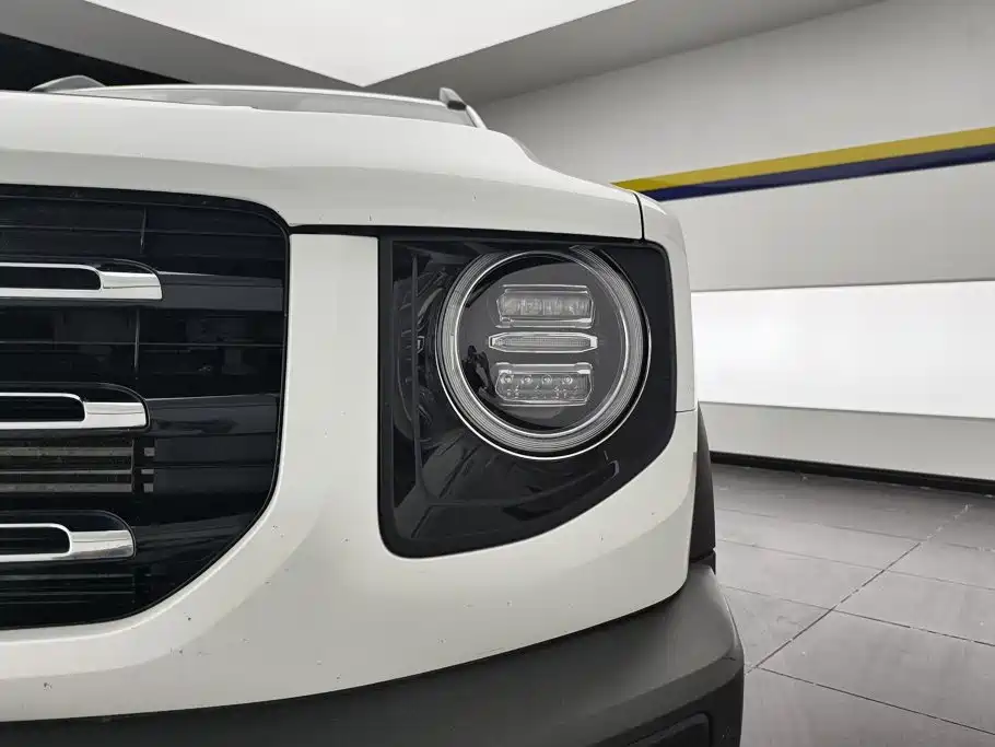 Haval Big Dog — миниатюра 5