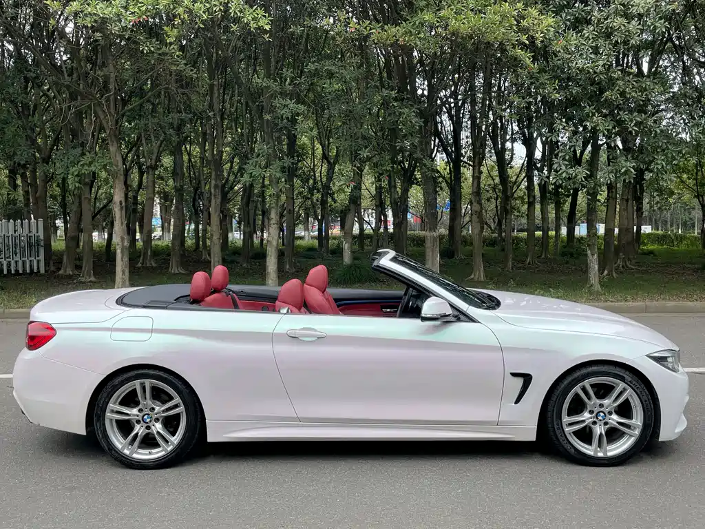 BMW 4 Series — миниатюра 4