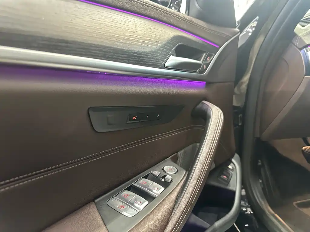 BMW 5 SERIES NEW ENERGY