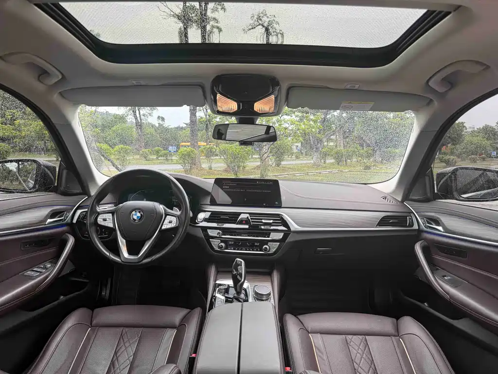 BMW 5 Series 5 2020 530Li Premium Luxury