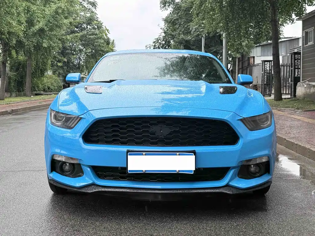 Ford Mustang — миниатюра 2