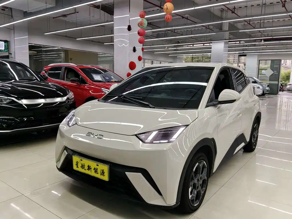 Byd Seagull 2024