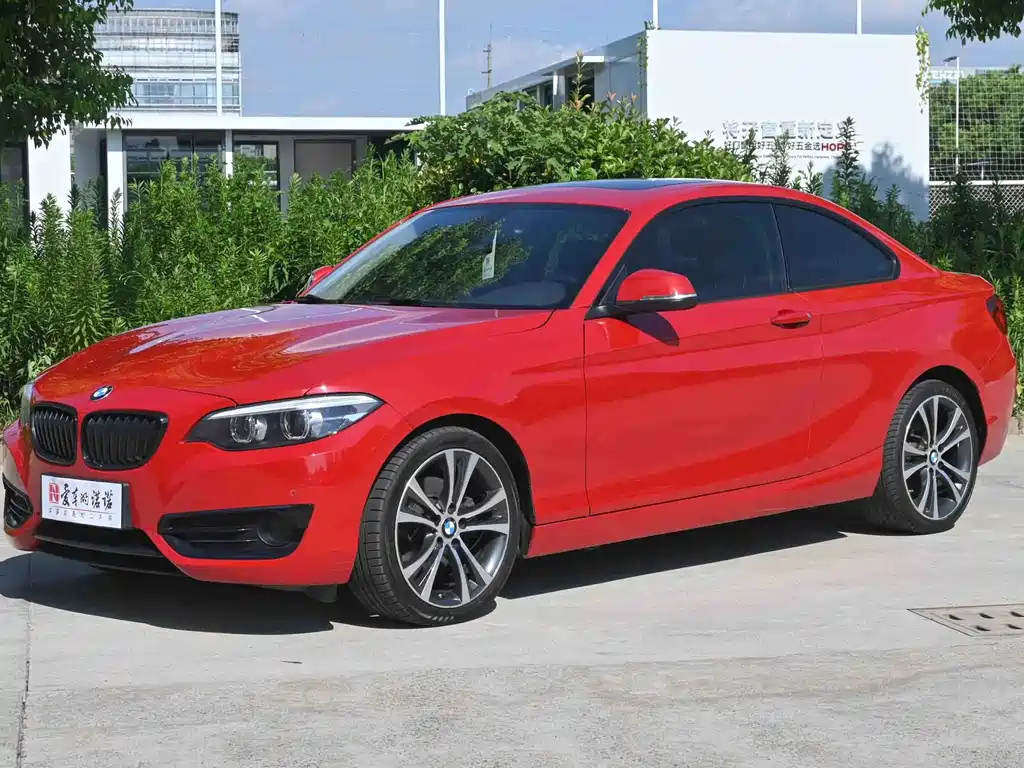 BMW 2 Series (Import)