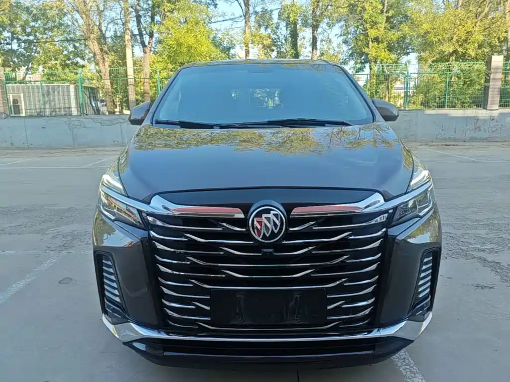 Buick GL8 — миниатюра 3