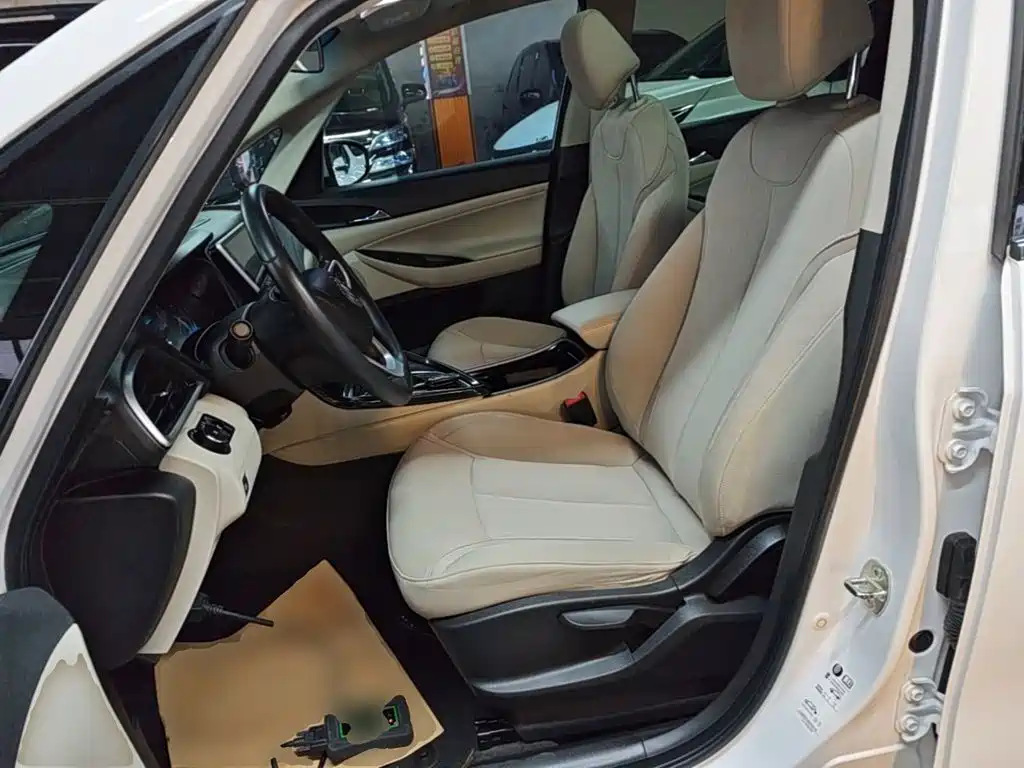 Buick GL6 — миниатюра 15