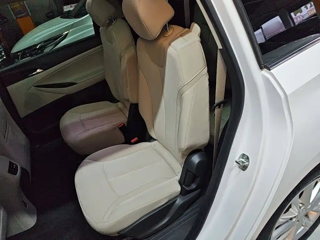 Buick GL6 — миниатюра 17