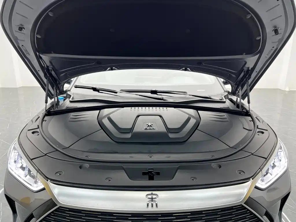BYD PLUS New Energy — миниатюра 23
