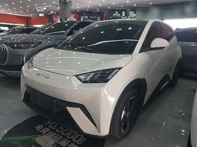 2023 BYD Seagull