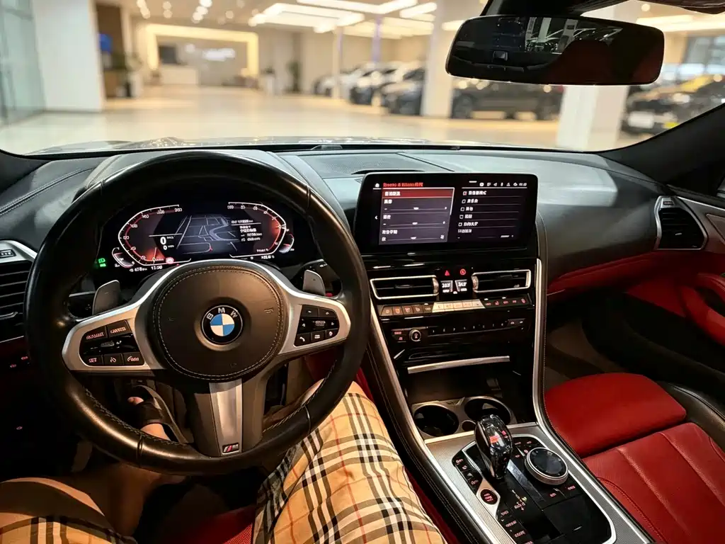 BMW 8 Series — миниатюра 10